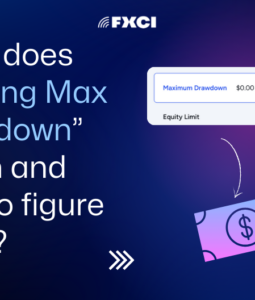 max drawdown